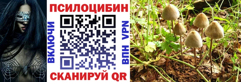 Купить закладки Ахтырский Галлюциногенные грибы Psilocybine cubensis